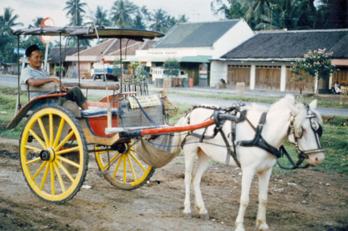 Pferdekutsche am Borobodur