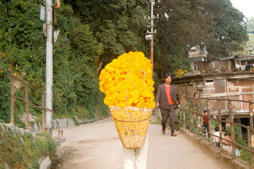 in Darjeeling