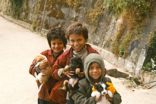 Tschüß Darjeeling