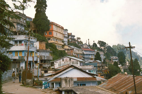 in Darjeeling