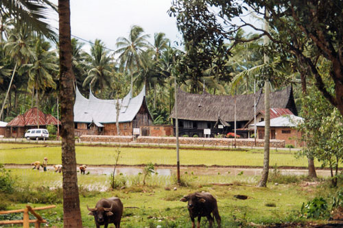 Dorfidylle in Palimbang