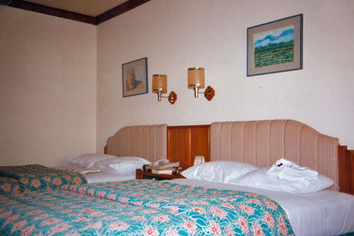 Zimmer Hotel Savoy Homann