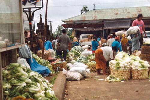 Markt in Baturiti