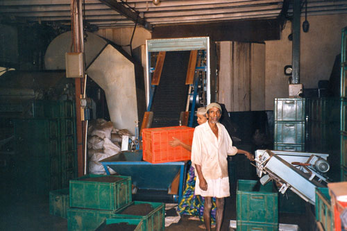 Teefabrik auf dem Weg nach Nuwara Eliya