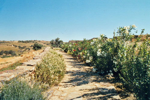 der Weg zum Demetria Tempel auf Naxos