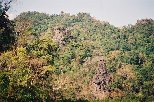 Mangrovenfahrt auf Langkawi