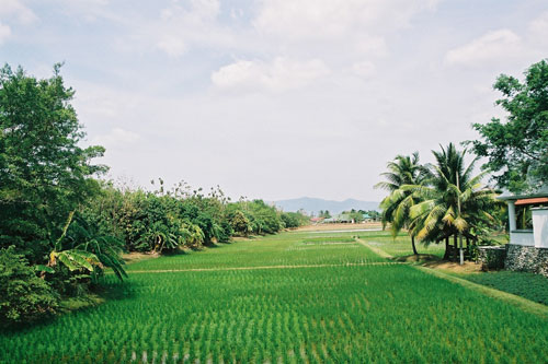 Reismuseum in Pantai Ceanang auf Langkawi