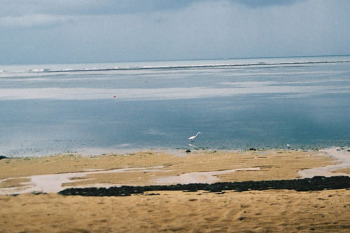 Strand von Sanur fast ohne Wasser