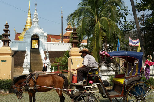 die Kutsche vor dem Wat Pongsanuk