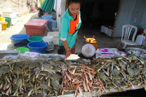 Fischmarkt an der Thanon Chonwithi in Na Thon