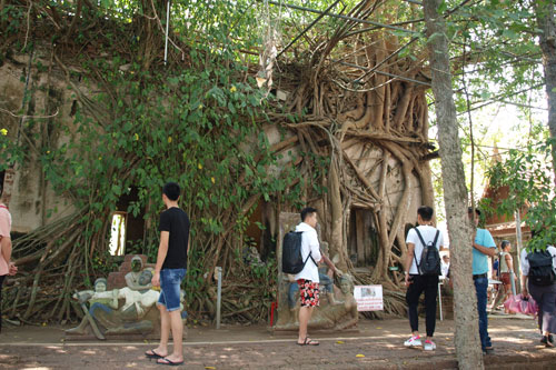 Wat Bang Kung, der Tempel im Baum