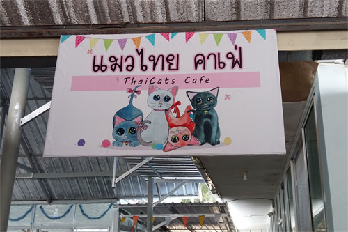 Thai Cat Center, Amphawa
