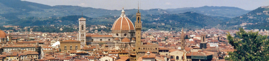 Ausblick auf Florenz
